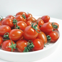 [토마캄스] 대추 방울 토마토 2kg 3kg 5kg 중대과 로열과 혼합