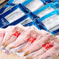 [제주특선] 제주맛남 은갈치 2마리(중대)+통옥돔 1팩(3마리)