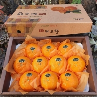 [선물용] 프리미엄 레드향(푸)