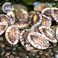 [완도금일수협] 활 참전복 (소) 1kg(15-17미) / 1.5kg(22-25미) / 2kg(30-34미)