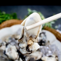 [주말특가] 깐굴브팜 고품질 통영 생굴 깐굴 1kg 2kg 3kg 중굴 위주 얼음 포장