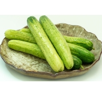 (최켓) 백오이 1kg~5kg