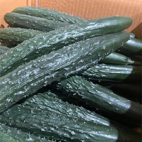 국내산 가시오이(푸)