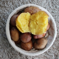 [오커브팜] 카스테라 홍감자 빨간 감자 1.5kg 3kg 5kg