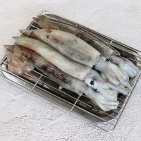 [총알오징어] 원양산 통찜용 오징어 1kg [7~13마리][냉동]