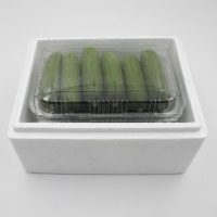 [오커캄스] 작은 미니오이 피클리노 10개입 20개입