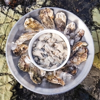 [보름데이]신선함을 그대로  통영 생굴(푸)