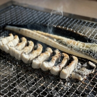 [주말특가] 풍천장어 100% 품질보증 기운센 불끈불끈 전북 고창 민물장어 1KG (손질전)