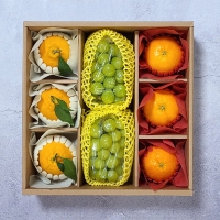  [선물세트] 과일 알찬  선물세트(마)