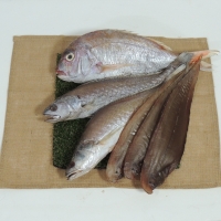 삼천포 용궁수산시장 반건조 생선 제수용세트