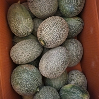 [오커최고] 진한 하미과 메론 주황빛 멜론 2kg 5kg