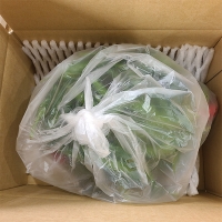 (최켓)청양고추 500g~5kg