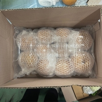 [신한카드 할인]  시원하고 달콤한 가정용 햇배