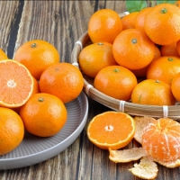 [제주향기] 탐나는 노지감귤 5kg(2L-L/37-46과내)