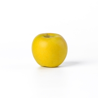 26년 햇 시나노골드 정품 사과 2kg/3kg/5kg(산)