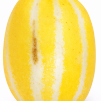 [과일] 과즙팡팡 수분가득 가정용 성주참외 1kg/2kg/3kg/5kg