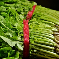 [농협] 한아름드린 신선 열무 4kg(특)