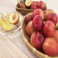 [산지직송] 새콤하고 달콤한 국내산 하우스 자두(300g/500g/1kg/1.5kg)