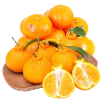 [제주향기] 탐나는 제주만감 2종묶음세트(한라봉3kg7-9과+레드향3kg10-12과)