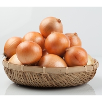(최켓) 국내산 햇 양파 2kg~10kg