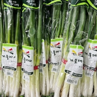 [서진도농협] 진도 대파 3단(3kg) 지리적표시인증