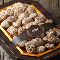 [고산농협] 원목 표고버섯 백화고세트 500g(선물포장)