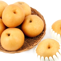 [농협공판장] 정성드린 신고배 15kg(31-40과내)