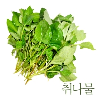  [농협] 한아름드린 제철미각 취나물 500g/1kg/2kg/3kg/4kg(특)
