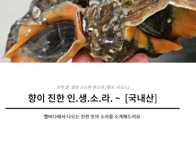 홍지수산 참소라  달달한 인생소라1kg 