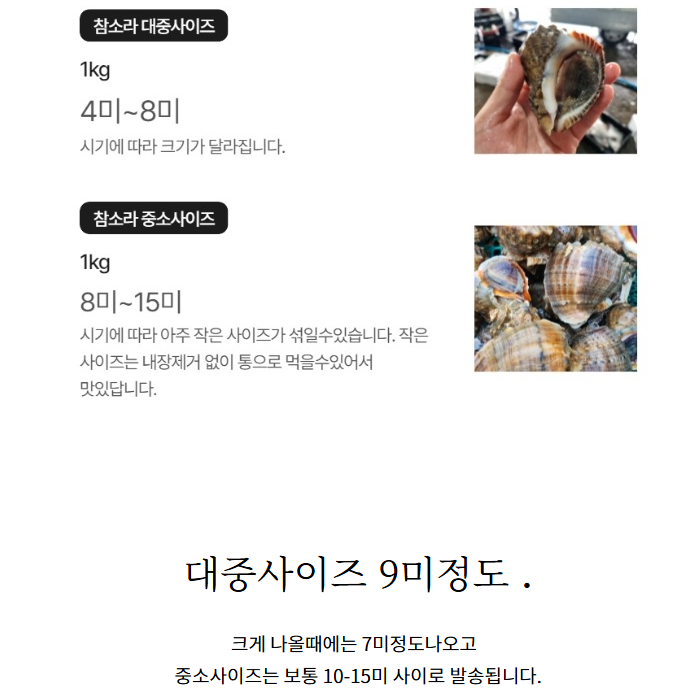 홍지수산 참소라  달달한 인생소라1kg 