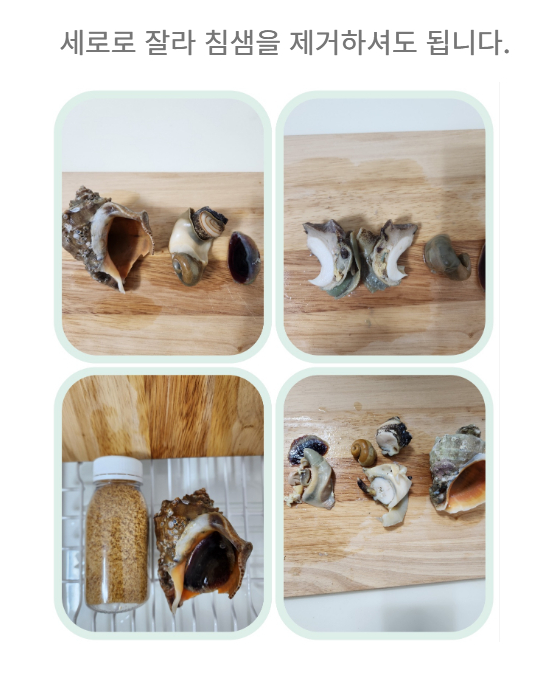 홍지수산 참소라  달달한 인생소라1kg 