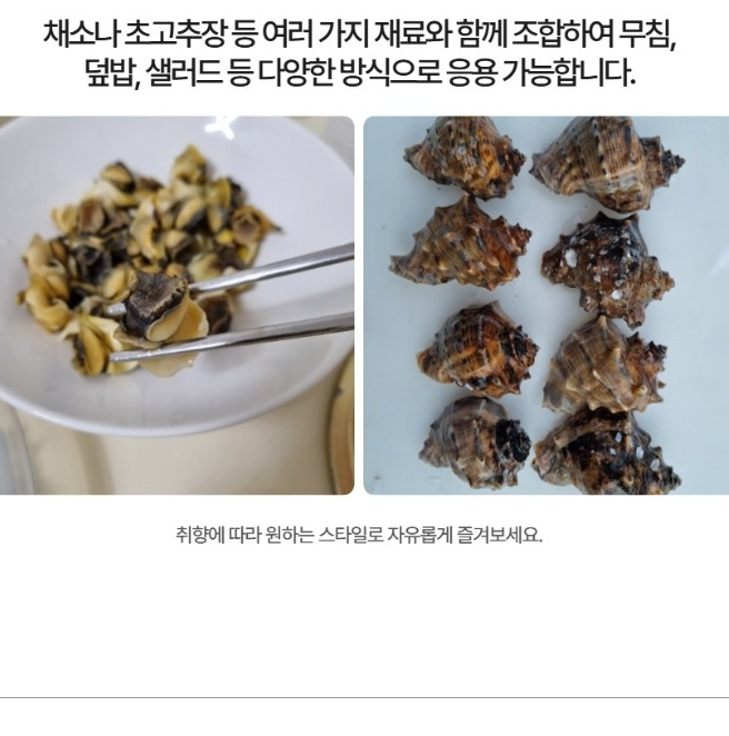 홍지수산 참소라  달달한 인생소라1kg 