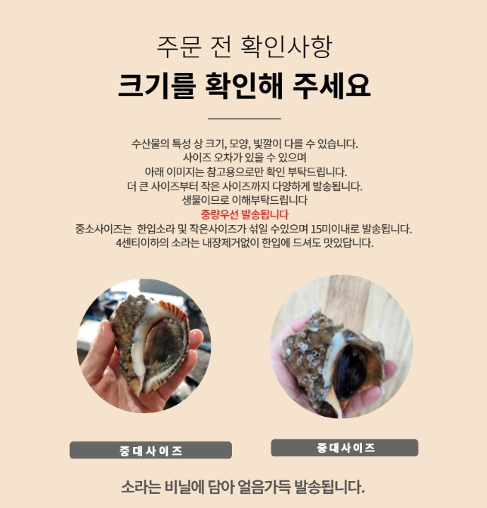 홍지수산 참소라  달달한 인생소라1kg 