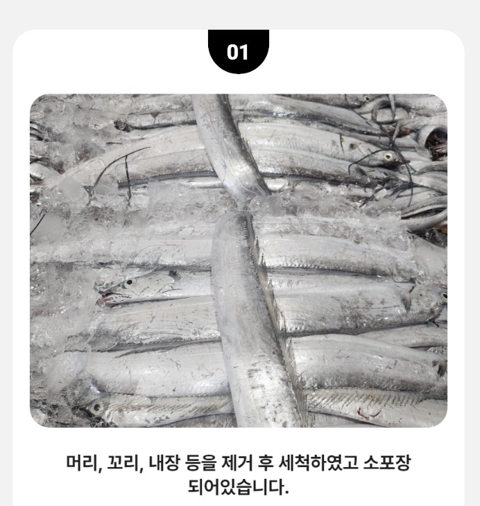 홍지수산 갈치3마리 6-8토막 국내산 먹갈치