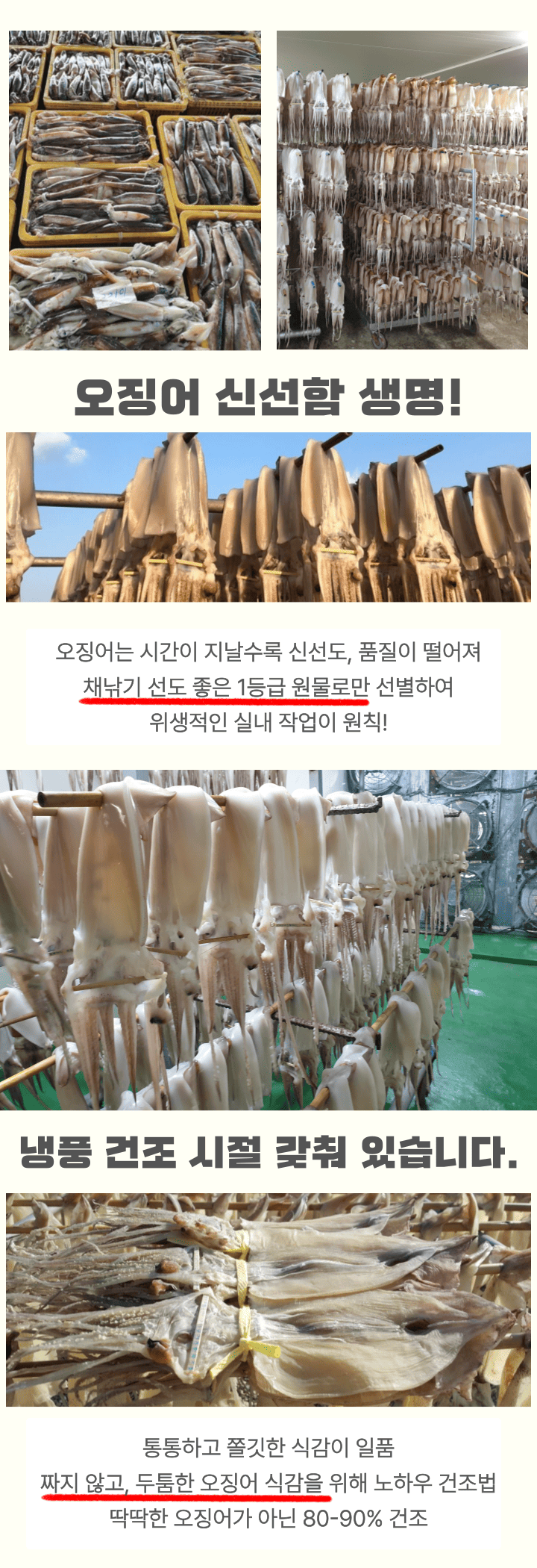 맥주안주 구룡포건조 원양산 마른오징어 건조오징어 5미