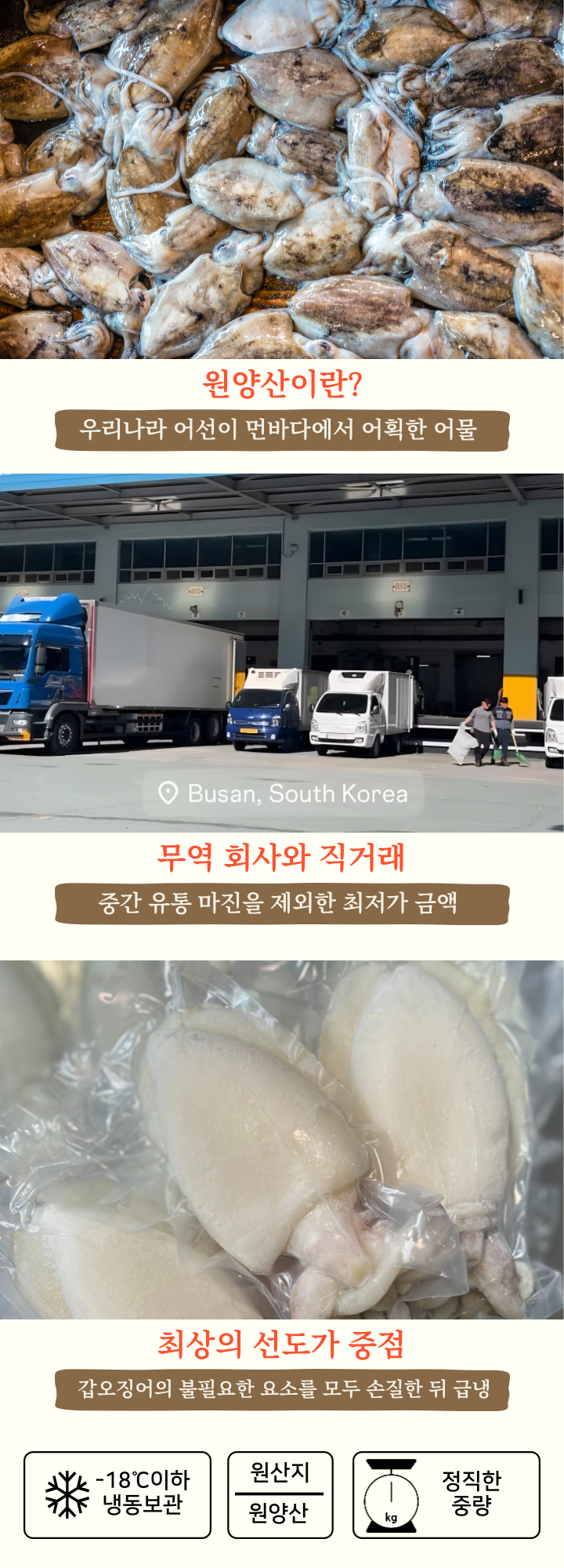 완벽손질 두툼 신선 갑오징어 개별진공 3미 800g(내외)