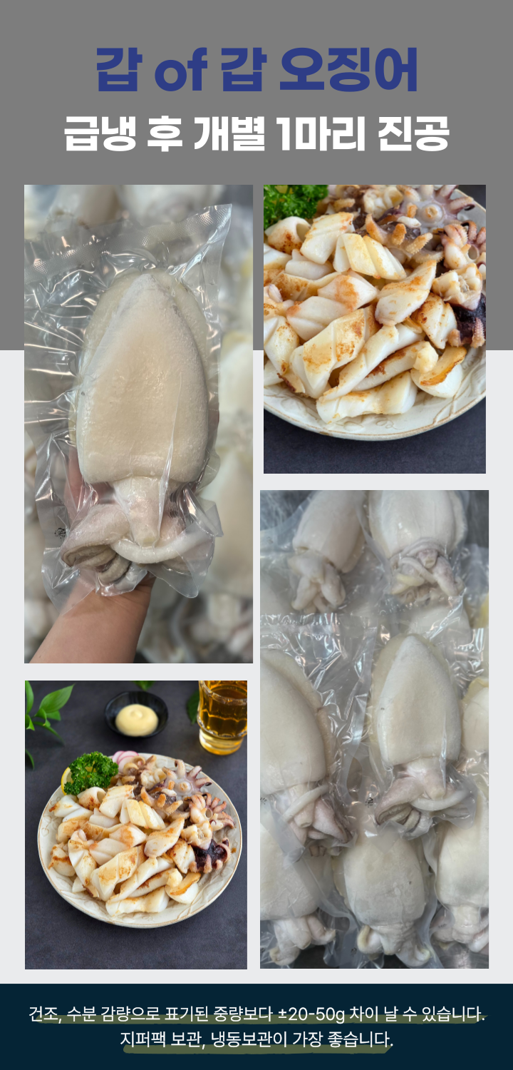 완벽손질 두툼 신선 갑오징어 개별진공 3미 800g(내외)