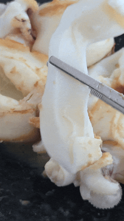 완벽손질 두툼 신선 갑오징어 개별진공 3미 800g(내외)